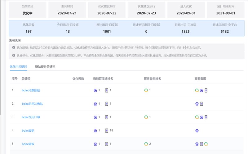 如何高效提升关键词排名？一份详细的测试指南